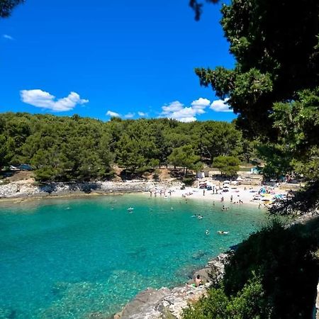 Apartment Zorika Near The Beach 普拉 外观 照片