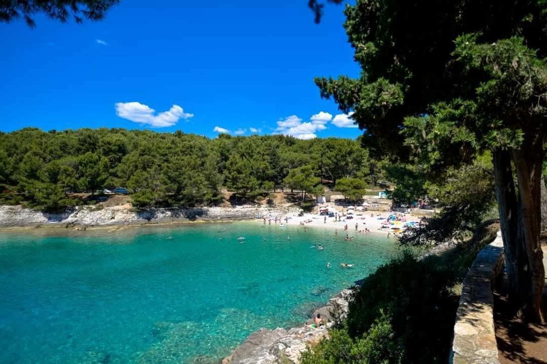 Apartment Zorika Near The Beach 普拉 外观 照片
