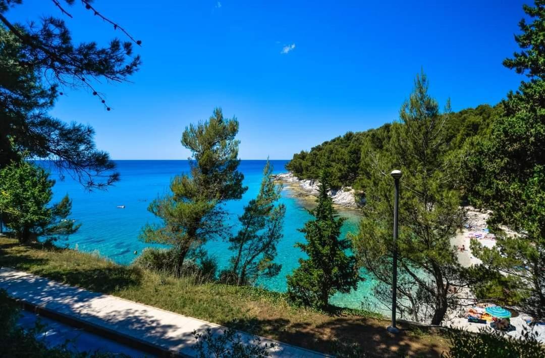 Apartment Zorika Near The Beach 普拉 外观 照片